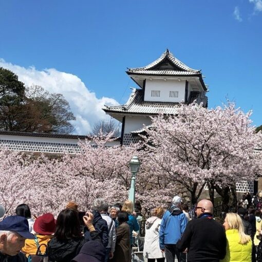 Canadian Tour Companies Offering Trips to Japan