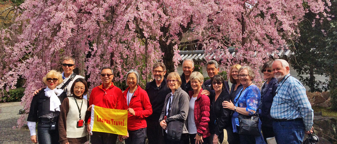 Japan Cherry Blossom Tours