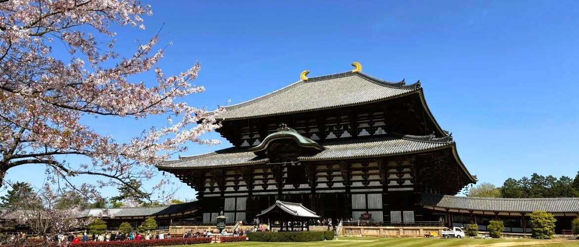 Sakura season in Japan