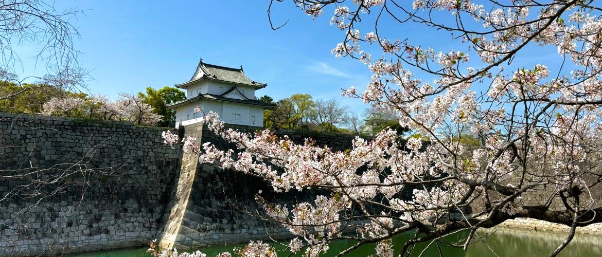Sakura season in Japan