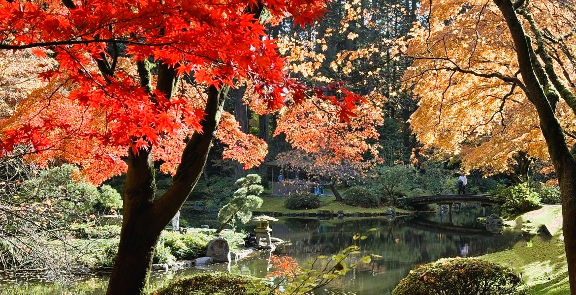 Japan tours 2026 fall colours