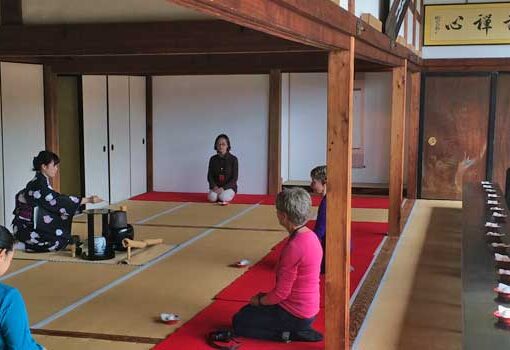 Highly Rated Small Group Tours of Japan