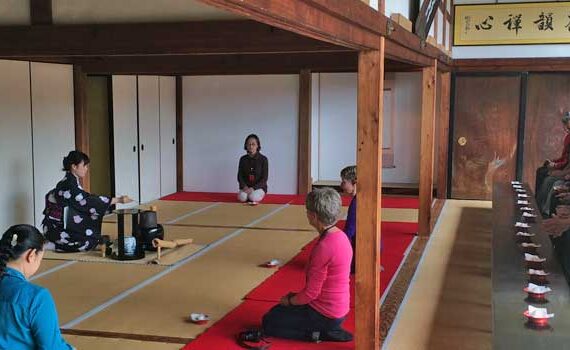 Highly Rated Small Group Tours of Japan